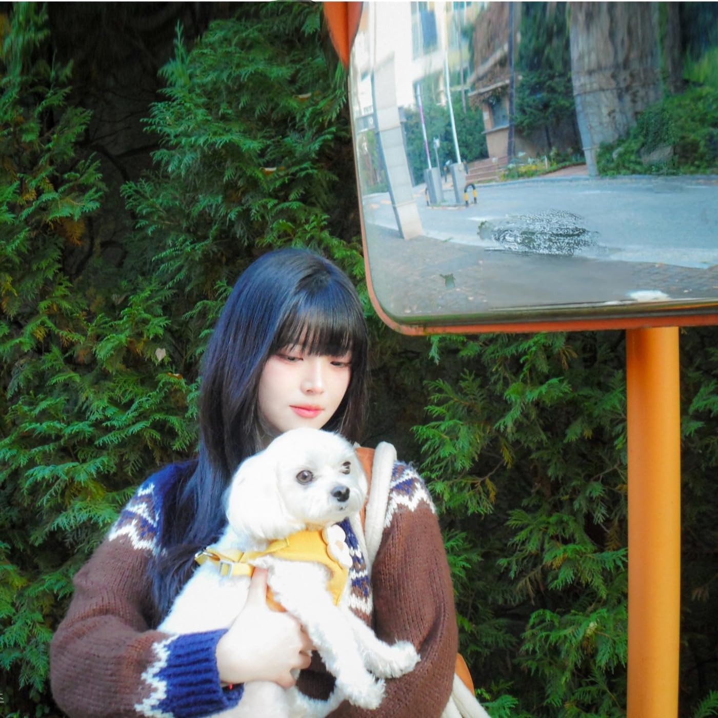 Image Cover